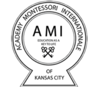 Academy Montessori Internationale